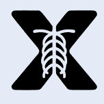 X-ray Interpret